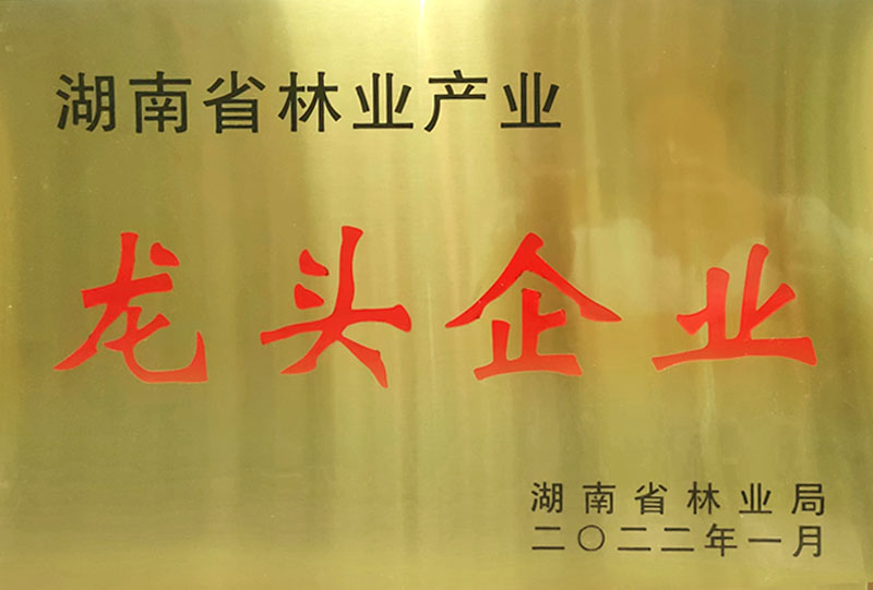 湖南省林业产业龙头企业