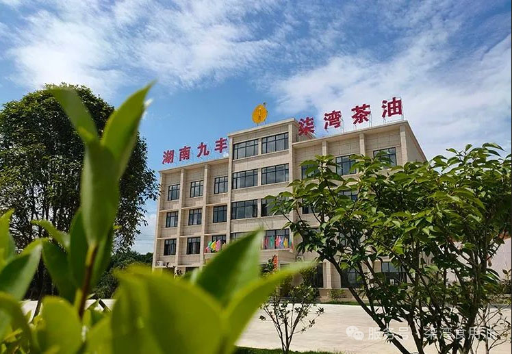 年终回顾丨湖南九丰2025年度大事纪