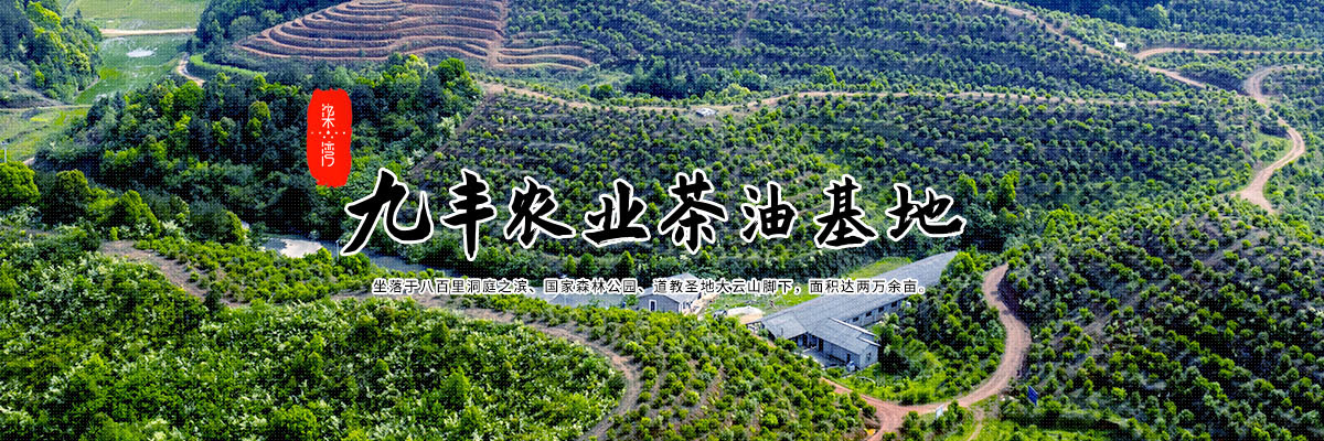 湖南九丰农业发展有限公司