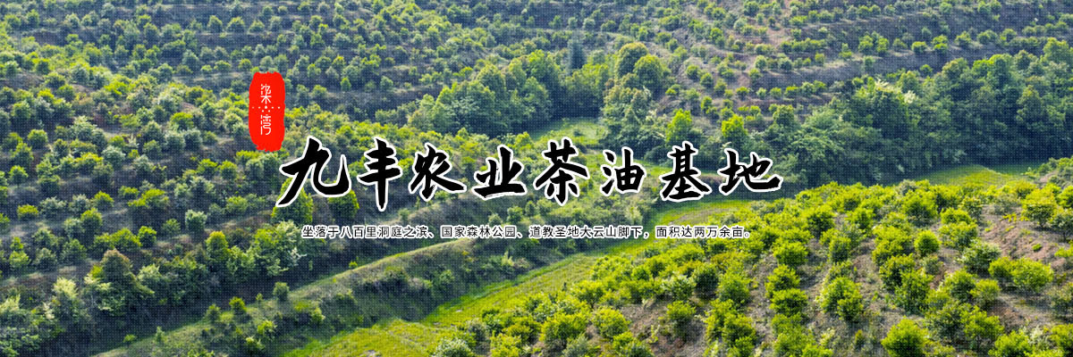 湖南九丰农业发展有限公司