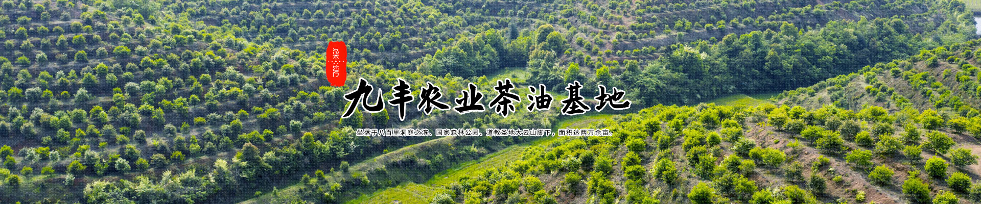 湖南九丰农业发展有限公司