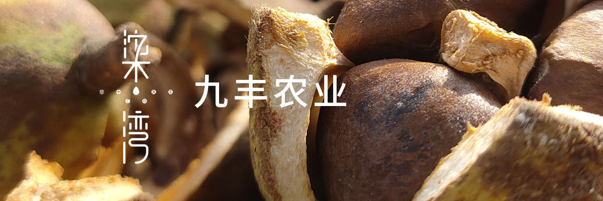 湖南九丰农业发展有限公司