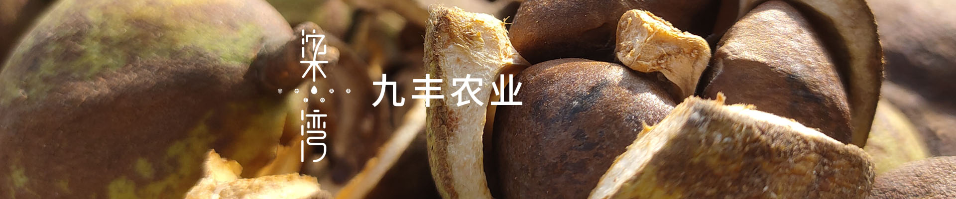 湖南九丰农业发展有限公司